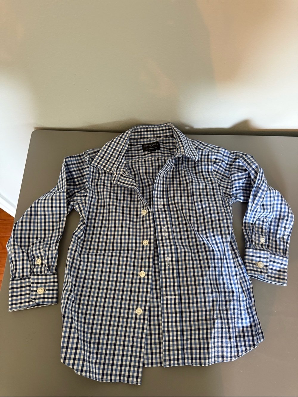 Crewcuts Blue and White Gingham Button-Up Shirt